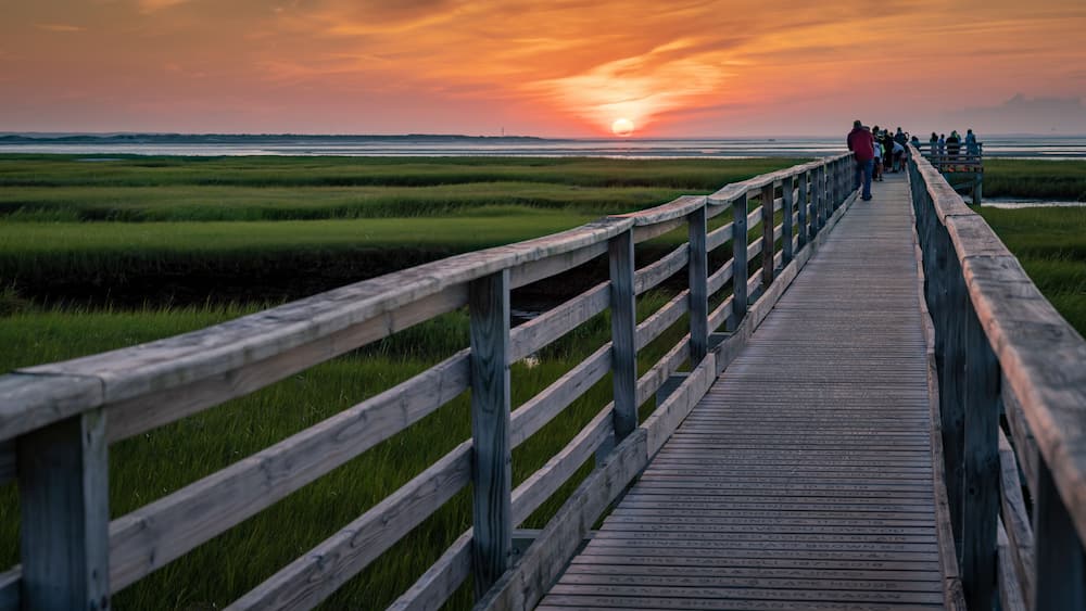 A wooden boardwalk leading to a sunset over a marshy landscape.