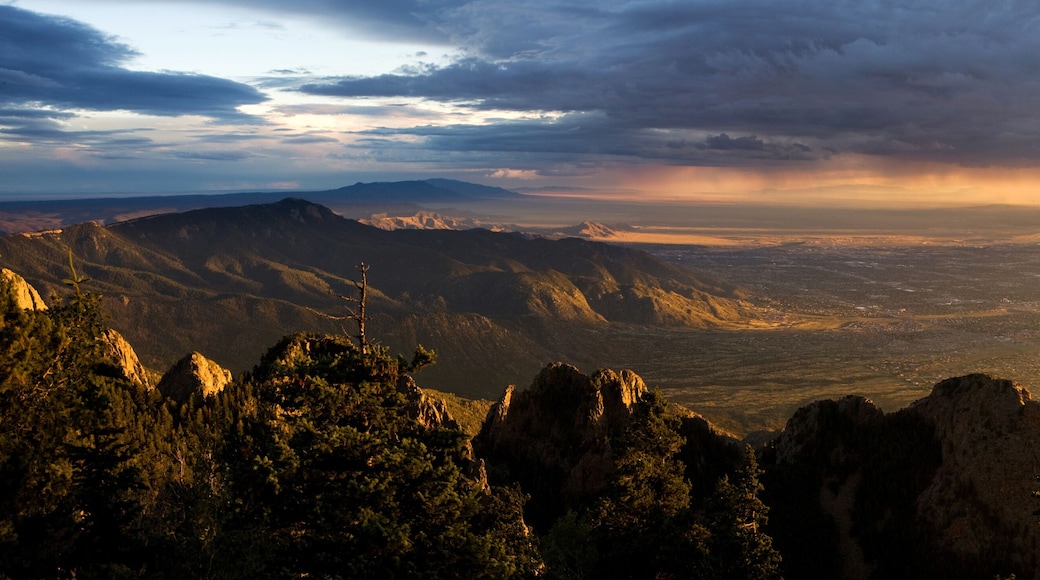 Stunning Vista of Albuquerque at Sunset, from the Sandia Peak