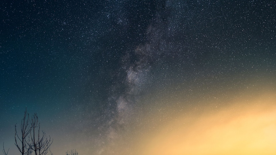 A starry night sky, a forest, and a sunrise.
