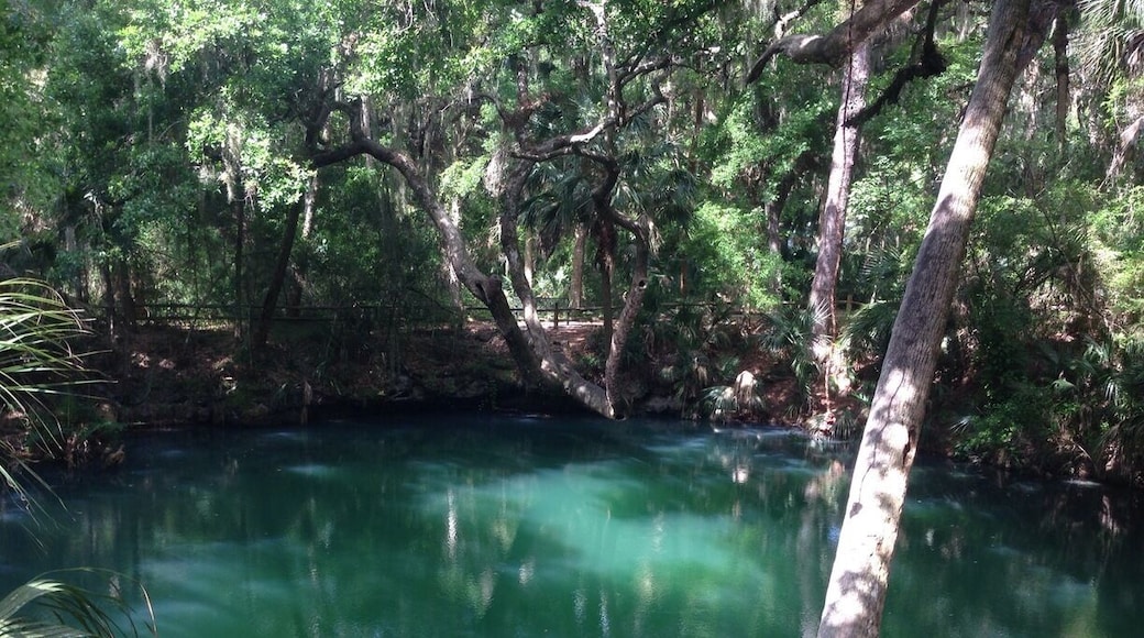 Green Springs has a fabulous bike path that goes to Blue Springs. And, Blue Springs is....blue.