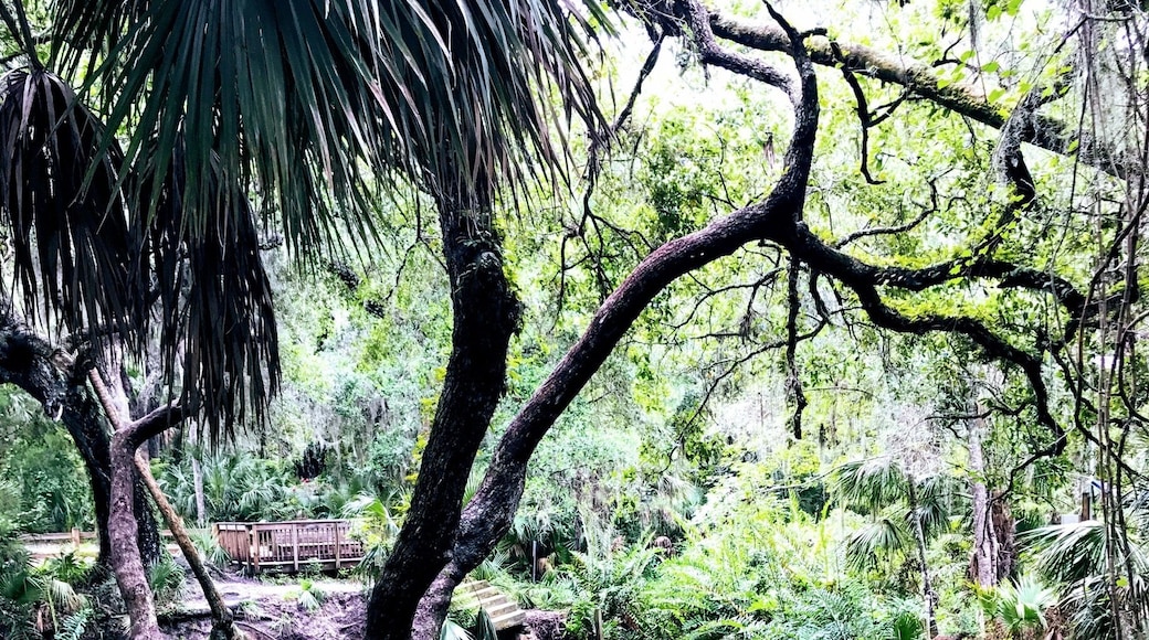 People spend thousands of dollars to visit theme parks but this natural beauty Green Springs is the real deal. Back in the early 1900’s tourists came to visit this spring and swim. The sulphuric water was believed to have medicinal healing powers. #GreatOutdoors
