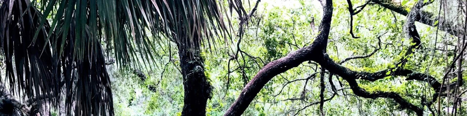 People spend thousands of dollars to visit theme parks but this natural beauty Green Springs is the real deal. Back in the early 1900’s tourists came to visit this spring and swim. The sulphuric water was believed to have medicinal healing powers. #GreatOutdoors