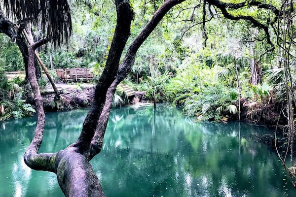 People spend thousands of dollars to visit theme parks but this natural beauty Green Springs is the real deal. Back in the early 1900’s tourists came to visit this spring and swim. The sulphuric water was believed to have medicinal healing powers. #GreatOutdoors