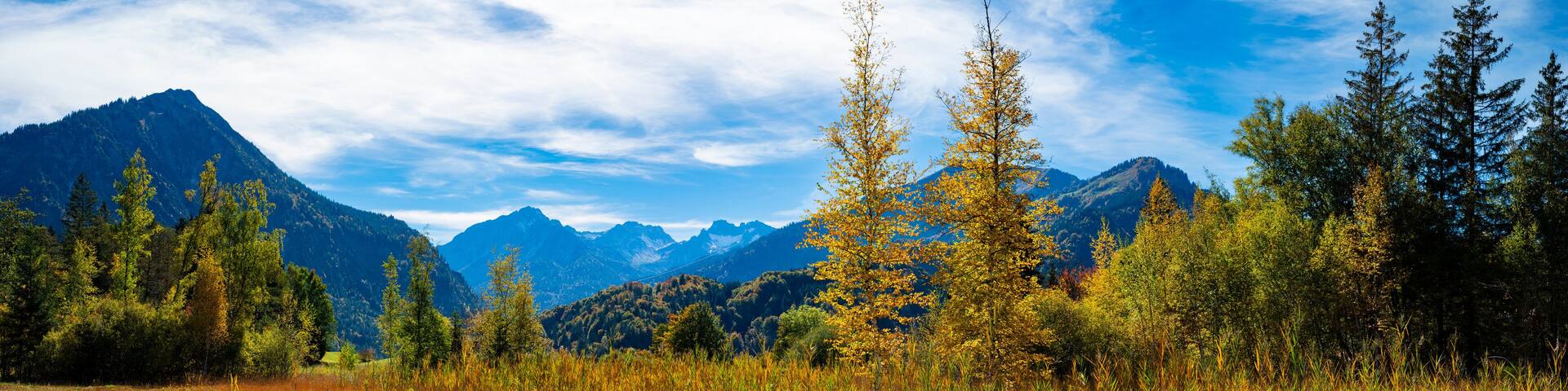 Germany, Bavaria, Panoramic view of alpine moor in autumn