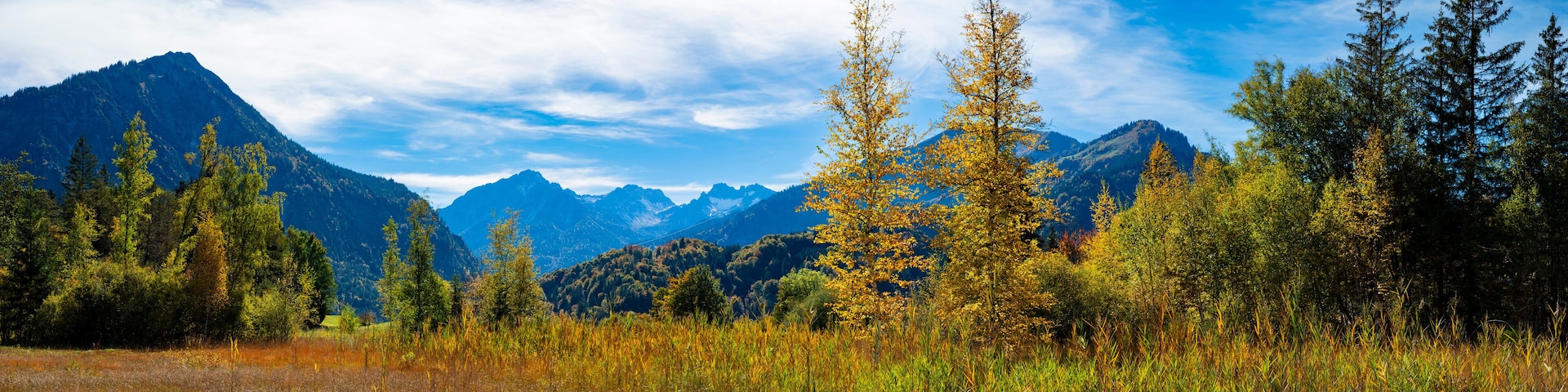 Germany, Bavaria, Panoramic view of alpine moor in autumn