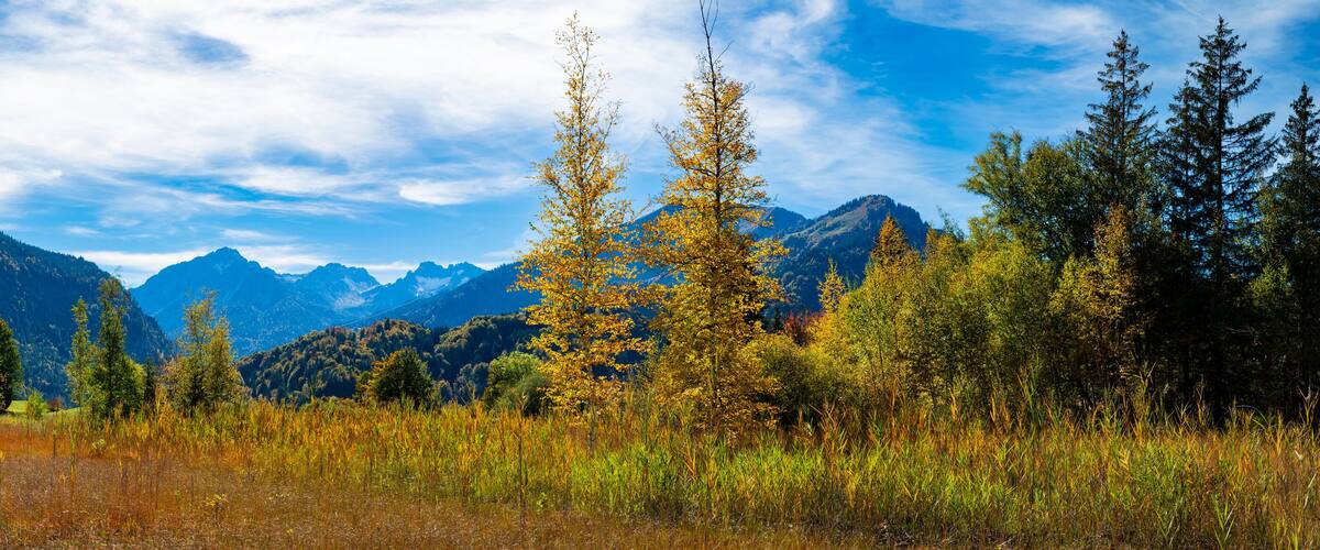 A mountainous landscape with autumn-colored trees and a clear sky.