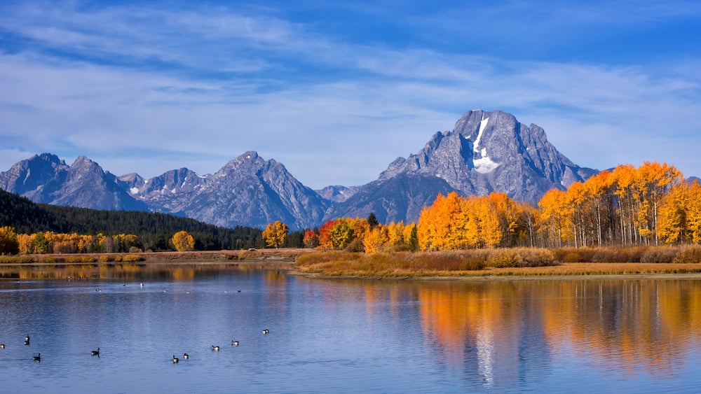 A lake with ducks, autumn-colored trees, and a mountain range in the background.