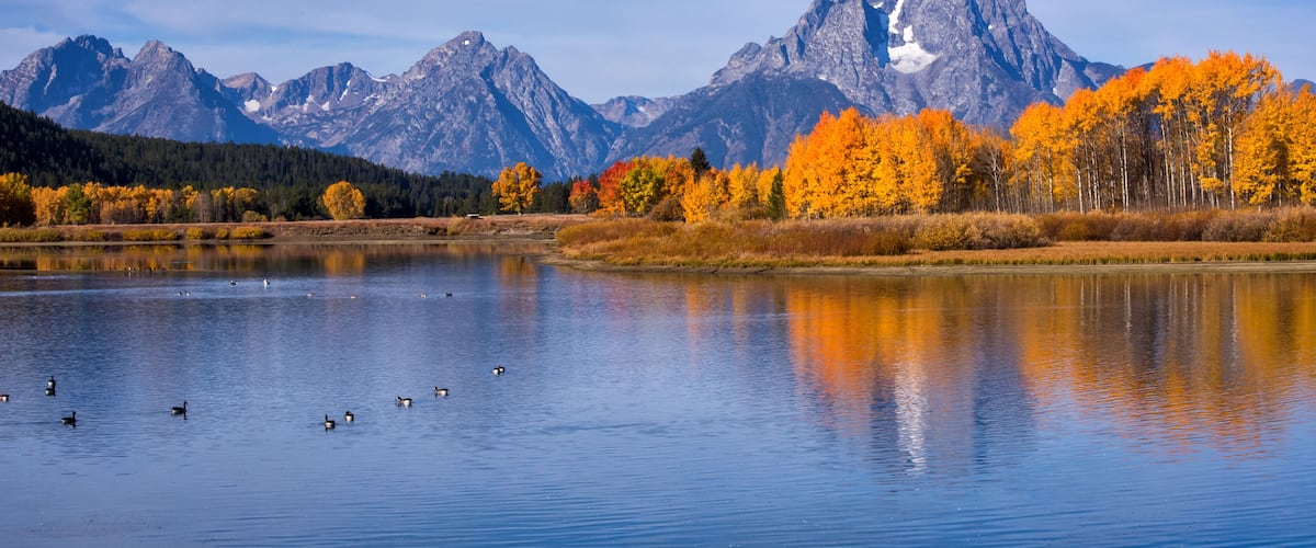 Un lago con patos, árboles de colores otoñales y una cordillera en el fondo.