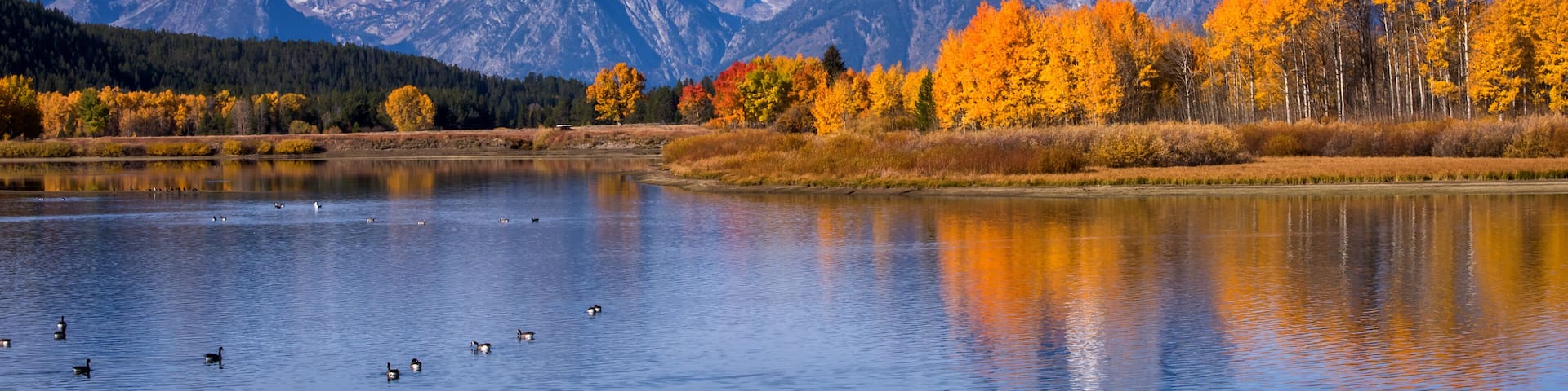 A lake with ducks, autumn-colored trees, and a mountain range in the background.
