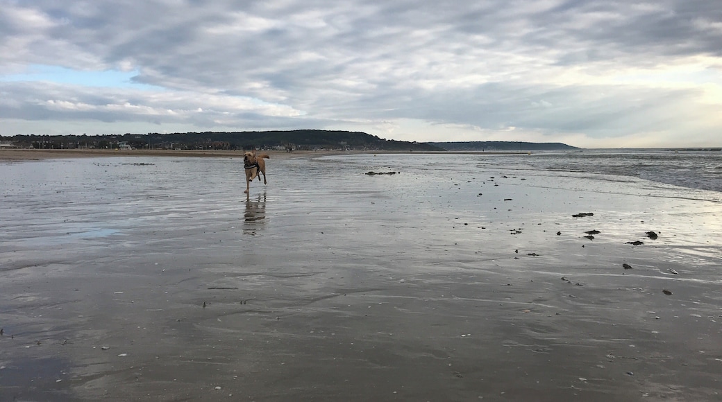 My baby in the beach@Deauville