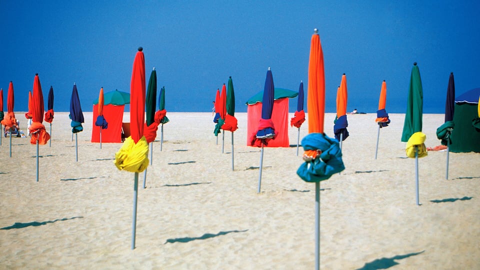 A beach with rows of colorful umbrellas and beach chairs.