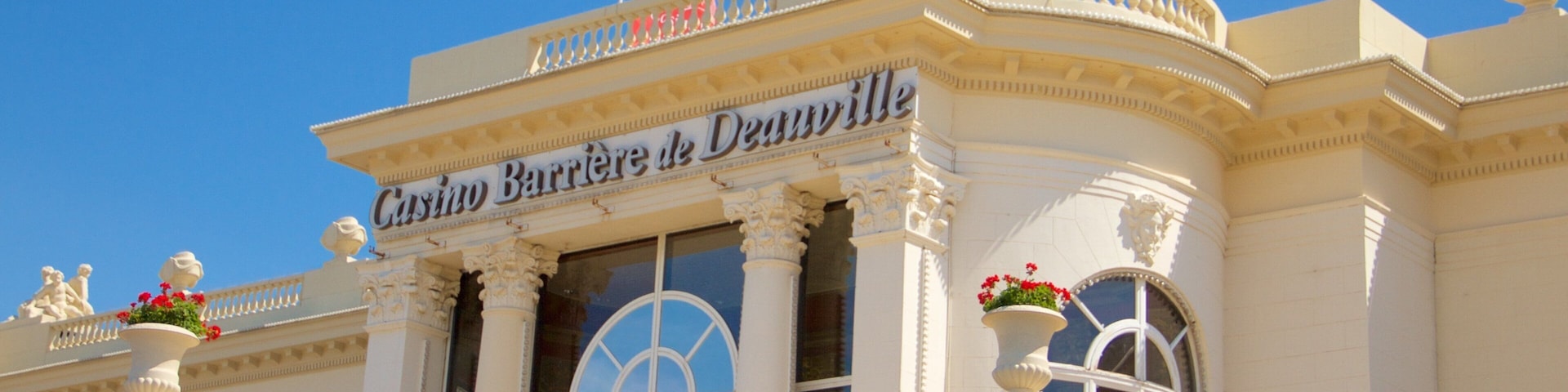 Deauville featuring a casino, signage and flowers