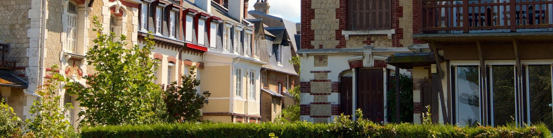 A row of traditional European houses with steeply pitched roofs and timber framing.