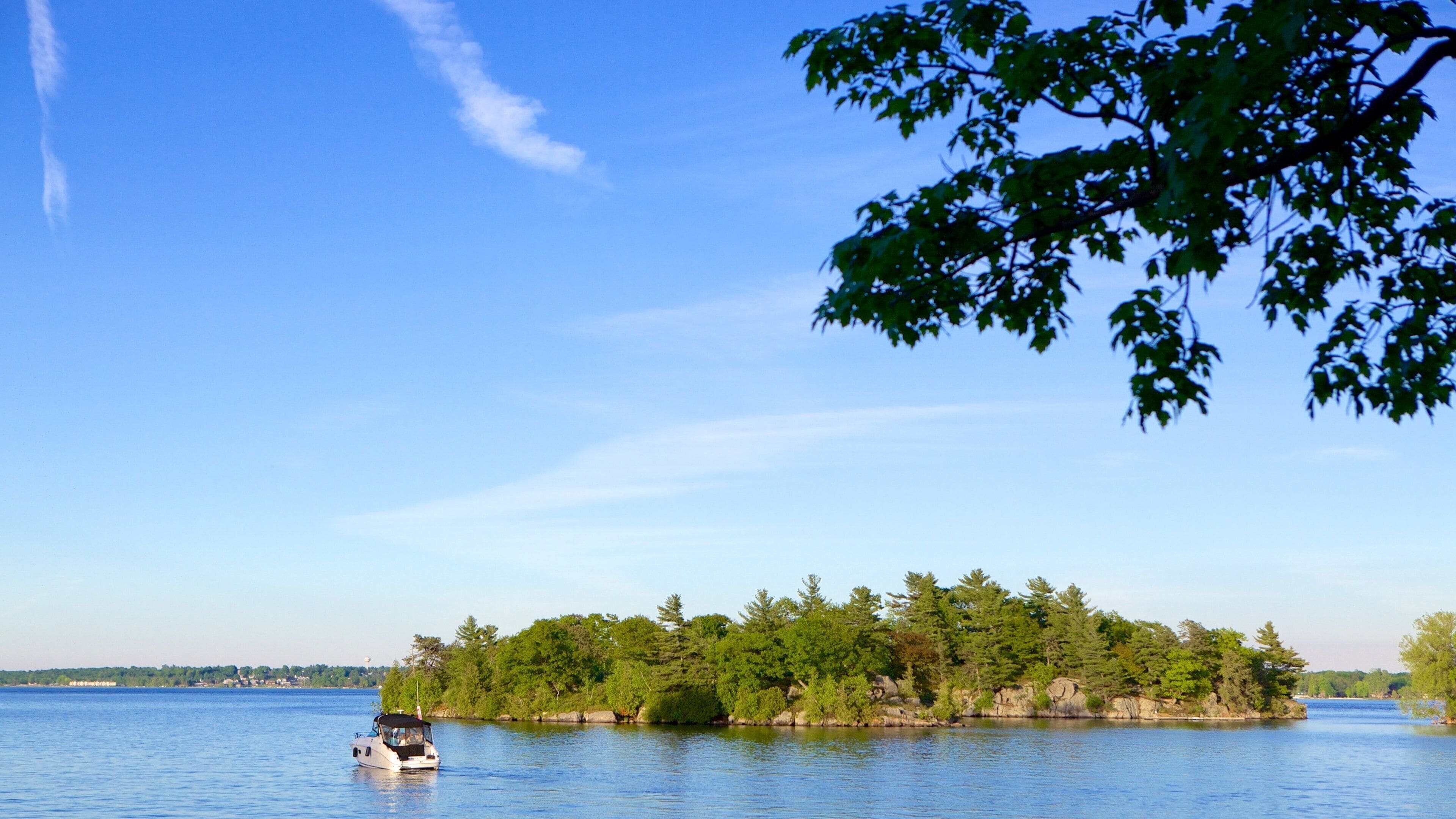 A small island with dense green trees surrounded by calm water.