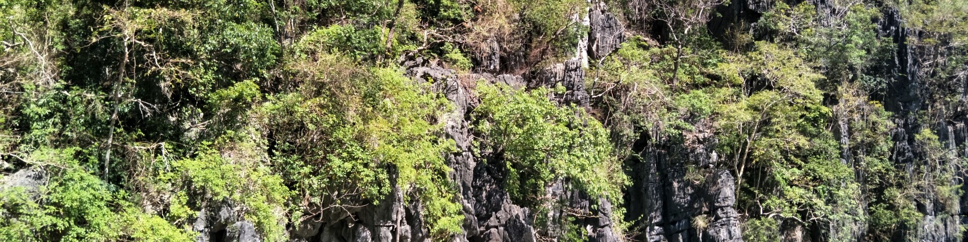 Kayangan Lake are said to be the cleanest and clearest in the Philippines. It was true!! The water is extremely clear and the colour is amazing. It comes in crystral green and turquoise colour ❤
#LifeAtExpedia
#ExpediaCares