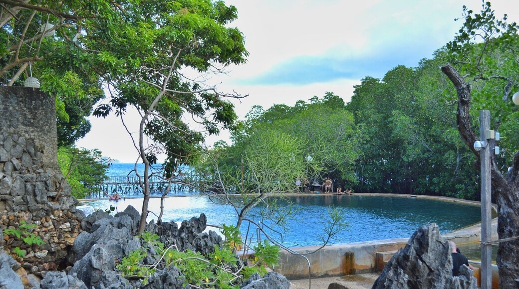 Salt water hot spring in Coron