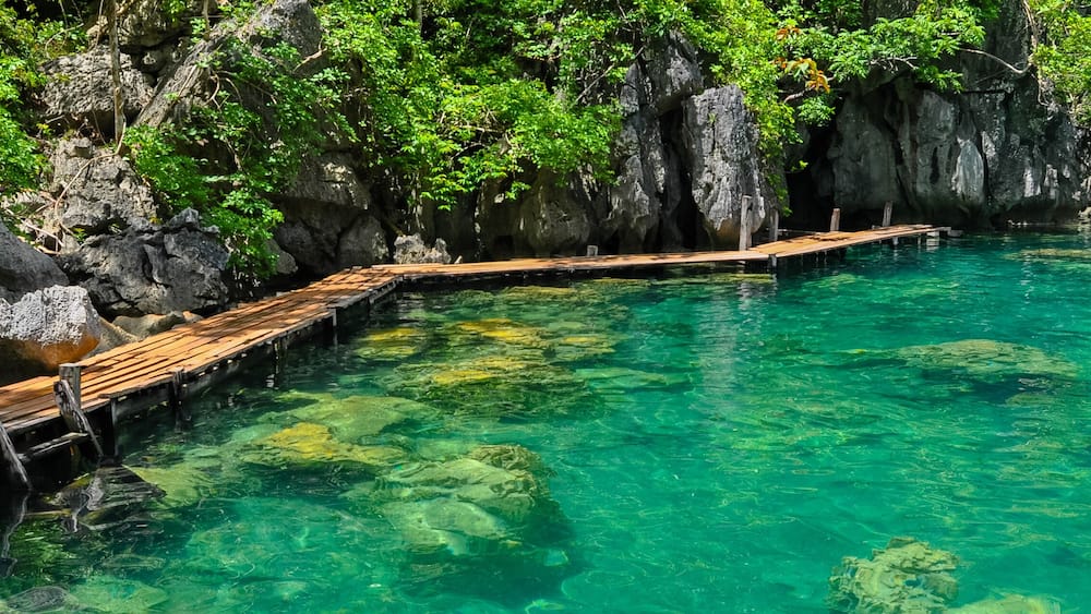 Very Clean and Clear lagoon lake Water next to a wooden path