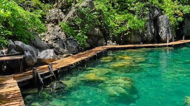 Very Clean and Clear lagoon lake Water next to a wooden path