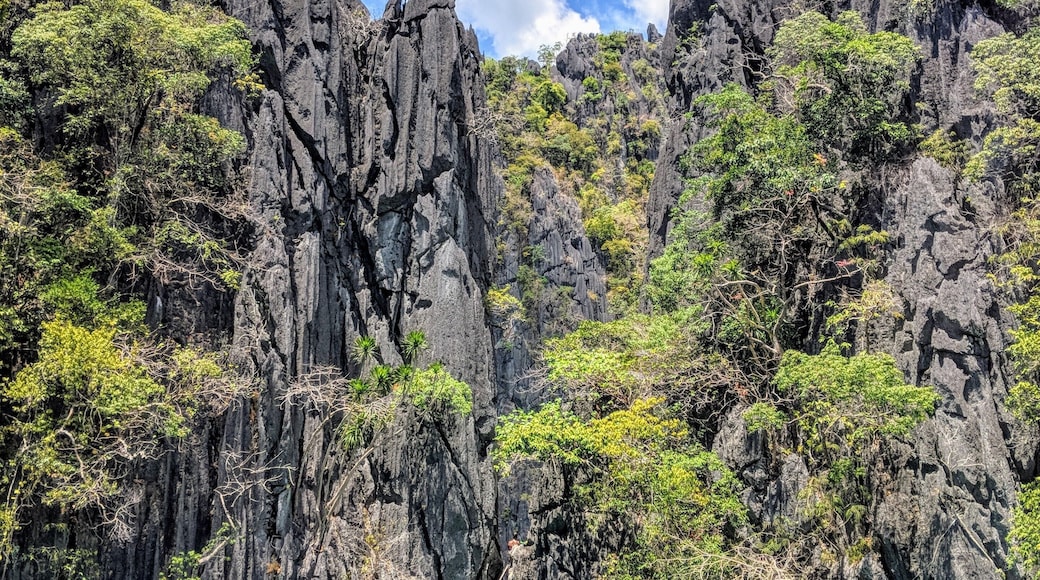 The Twin lagoons is a touristy spot in Coron. The only reason you don't see tourists and boats here is because our island hopping tour was behind schedule and late (yayee) to this party! #Island #lake #BeachTips #twinlagoon #palawan #philippines