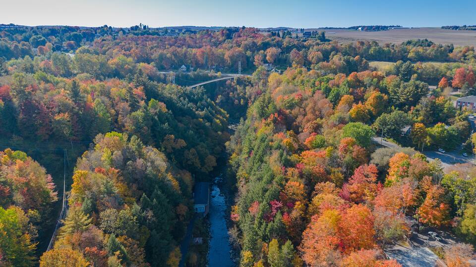A river winding through a densely wooded area with a bridge crossing over it.