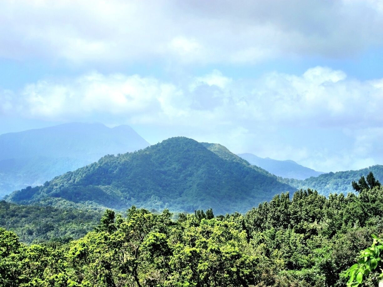 #TroveOn The small Caribbean Island of Dominica has so much to offer- waterfalls, black sand beaches, and lush vegetation.