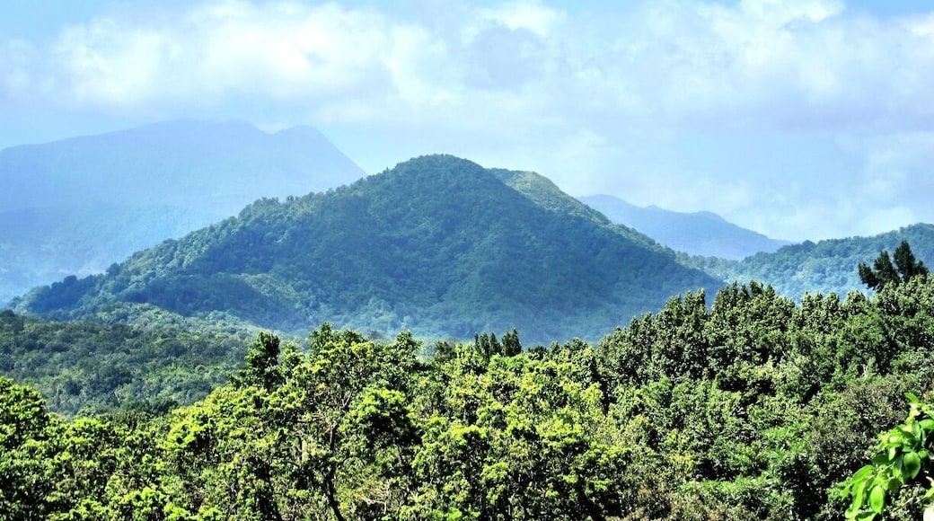 #TroveOn The small Caribbean Island of Dominica has so much to offer- waterfalls, black sand beaches, and lush vegetation.
