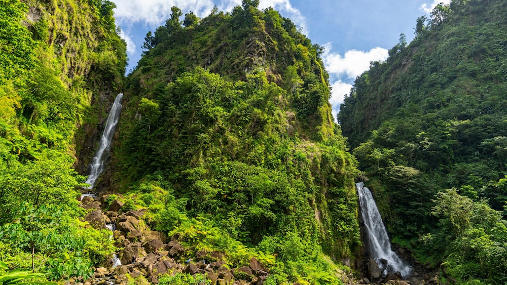Dominica, Trafalgar Falls - 7 February 2024 - The spectacular Trafalgar Falls in Dominica