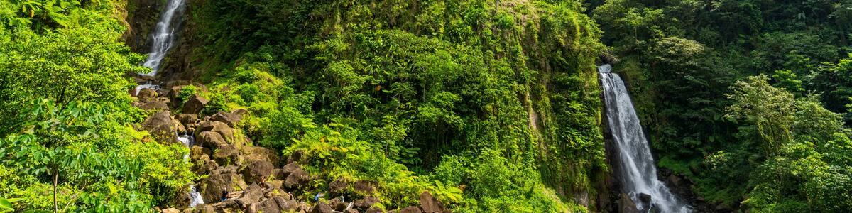 Dominica, Trafalgar Falls - 7 February 2024 - The spectacular Trafalgar Falls in Dominica