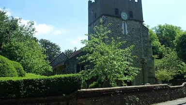 Đông Horsley