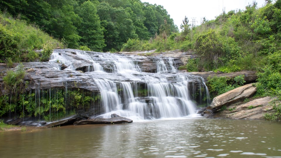 A waterfall cascading over a rocky ledge into a calm river surrounded by lush greenery.