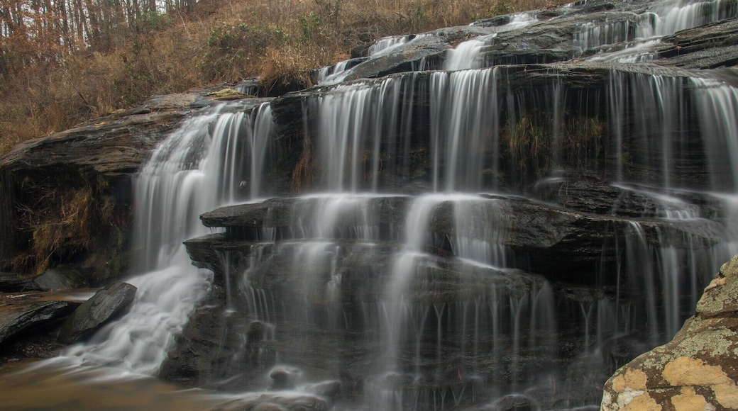 A beautiful gem that, for some reason, isn't too popular. However it is very easy to reach and is a stunning waterfall. Highly recommend. For a video guide of the falls please visit: https://www.hdcarolina.com/episode/todd-creek-falls
#Waterfall