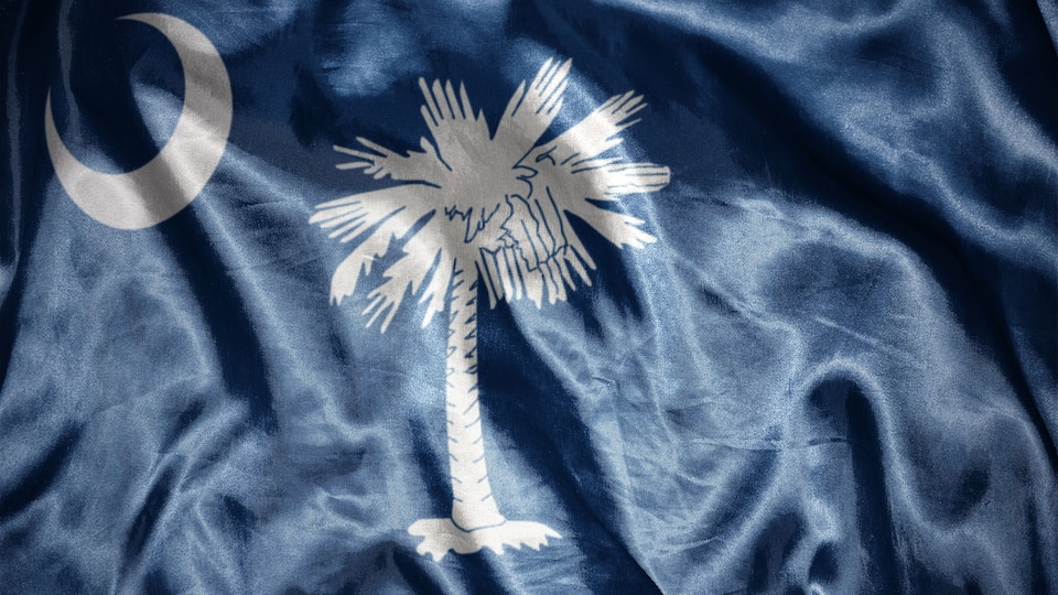 A flag with a palm tree and a crescent moon.