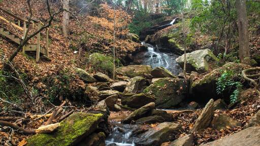 The tallest waterfall inside the Clemson Experimental Forest of South Carolina. Easily reached via a nice trail that the local Boy Scouts built. For a video guide of this hike, please visit: https://www.hdcarolina.com/episode/waldrop-stone-falls