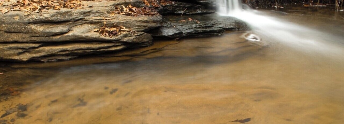 An easy spot to reach inside the Clemson Experimental Forest of South Carolina. A great kid friendly destination. For a video guide of this spot please visit: https://www.hdcarolina.com/episode/meadow-falls