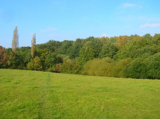 Wood near Chantry Mill Not marked on older maps so the wood has grown up over the last 100 years. The footpath from Sullington to Chantry Lane goes through it.
