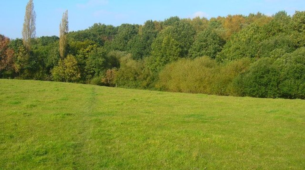 Wood near Chantry Mill Not marked on older maps so the wood has grown up over the last 100 years. The footpath from Sullington to Chantry Lane goes through it.