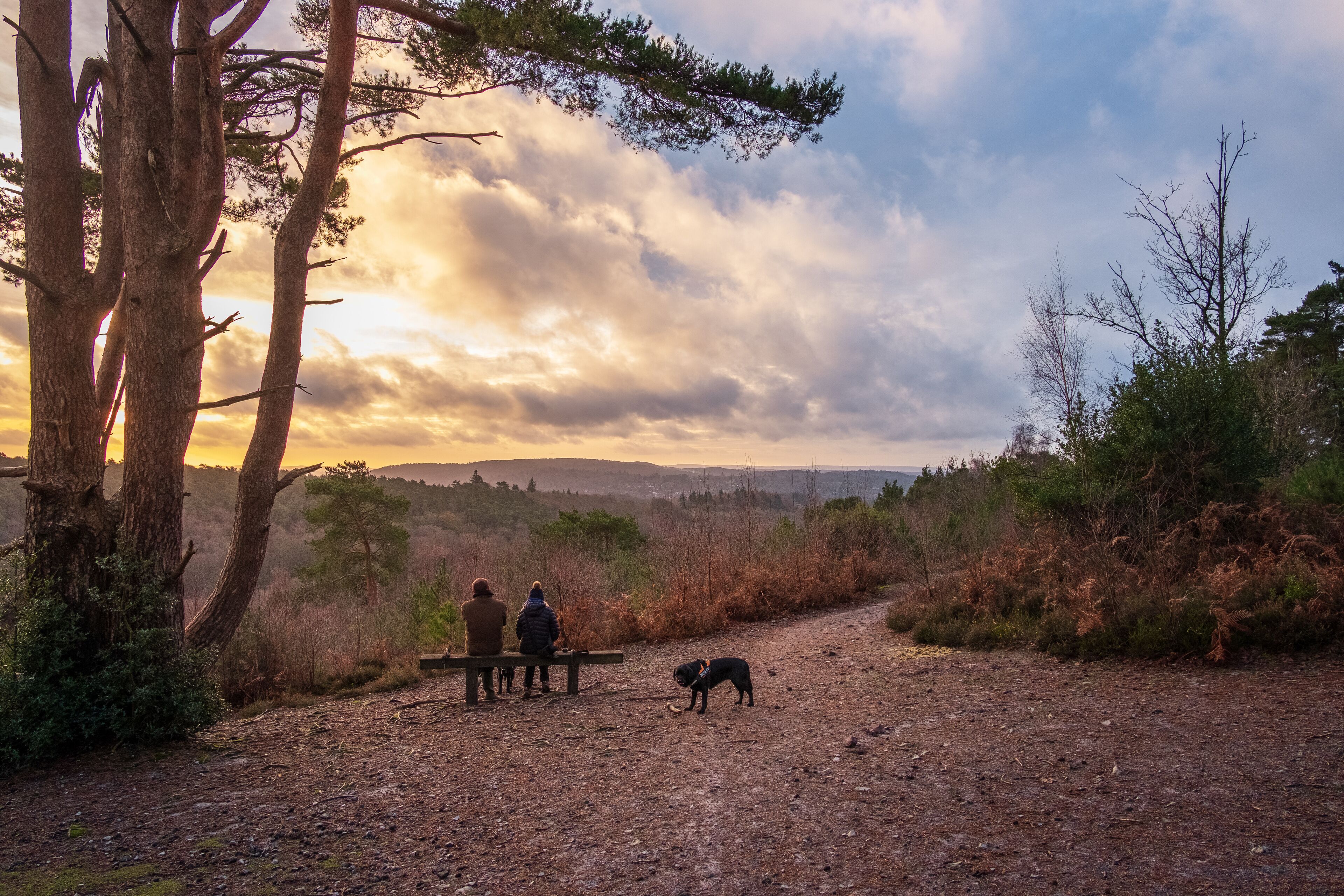 December 2020 morning walk around Hindhead Common