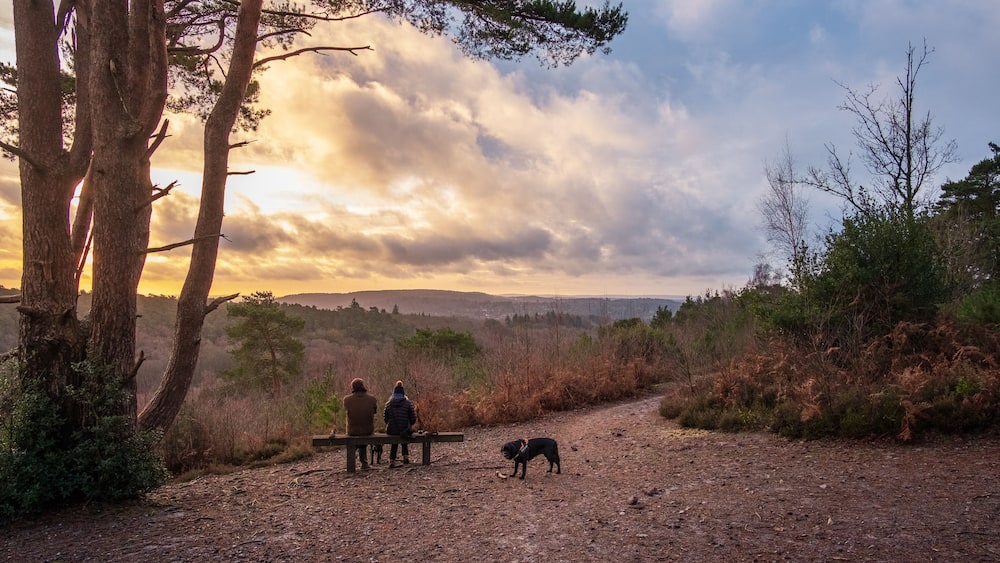 December 2020 morning walk around Hindhead Common