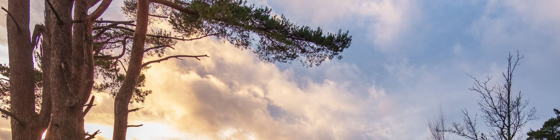 December 2020 morning walk around Hindhead Common