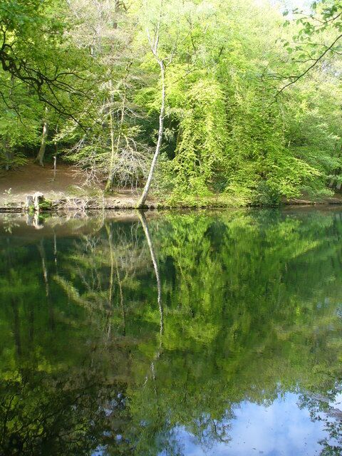 A calm river reflecting trees and a clear sky.