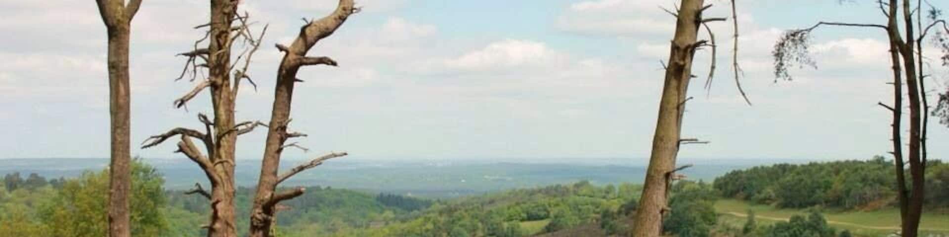 Devil's Punch Bowl