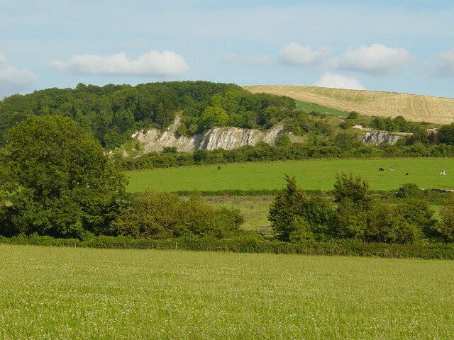 Chalk Pit. Looking East. Disused chalk pit.