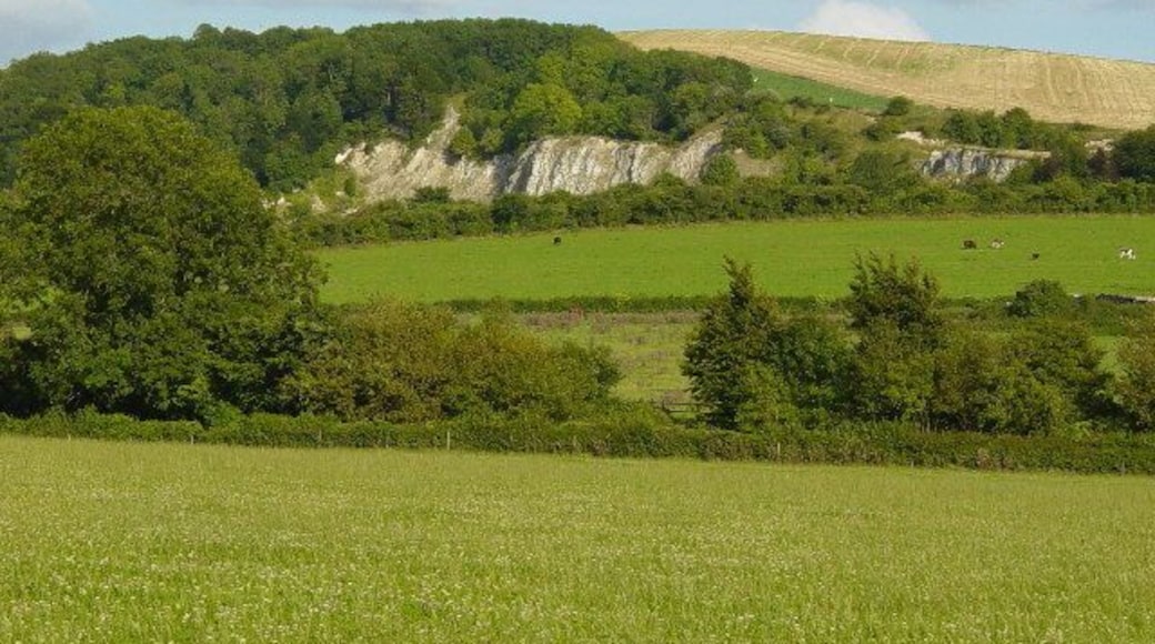 Chalk Pit. Looking East. Disused chalk pit.