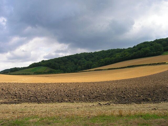 Below the South Downs near Cocking. Taken from the lane to Heyshott and looking towards an unnamed coomb below Heyshott Down.