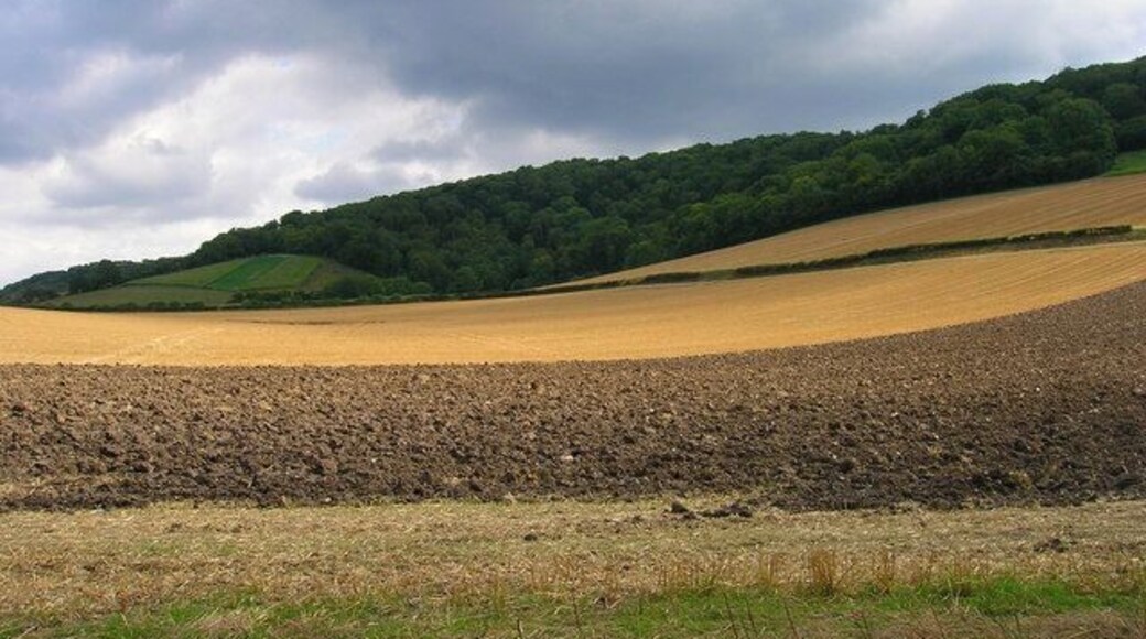 Below the South Downs near Cocking. Taken from the lane to Heyshott and looking towards an unnamed coomb below Heyshott Down.