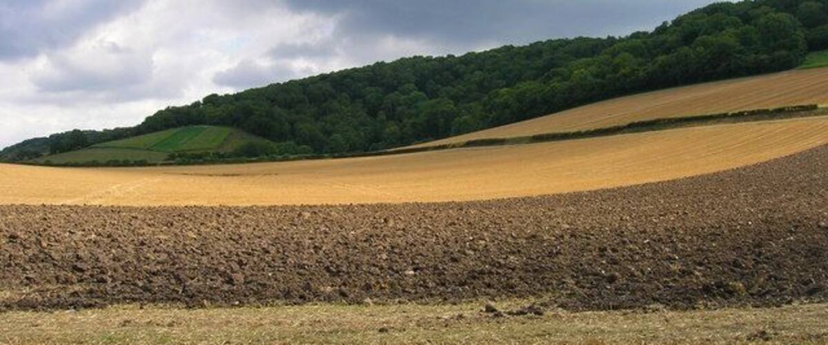 Below the South Downs near Cocking. Taken from the lane to Heyshott and looking towards an unnamed coomb below Heyshott Down.