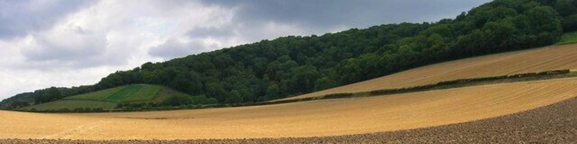 Below the South Downs near Cocking. Taken from the lane to Heyshott and looking towards an unnamed coomb below Heyshott Down.