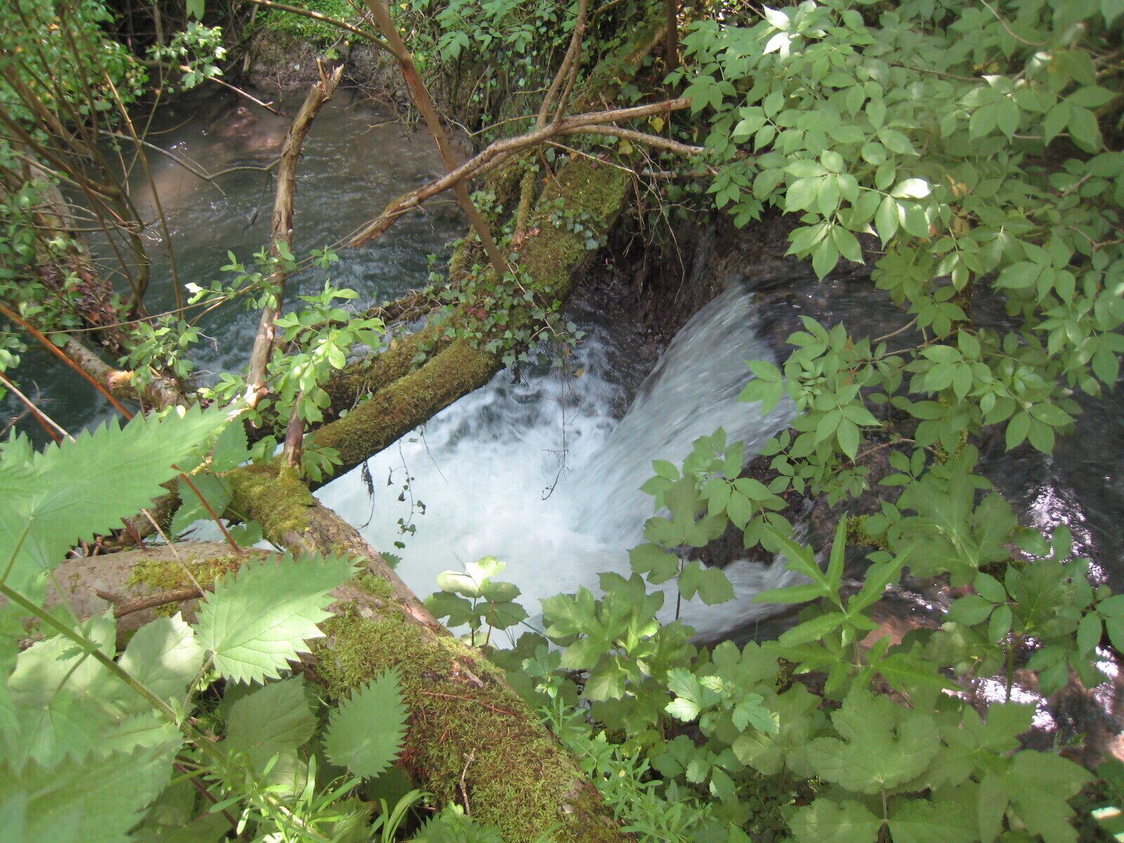 Weir on Costers Brook (probably the remains of the foundry)
