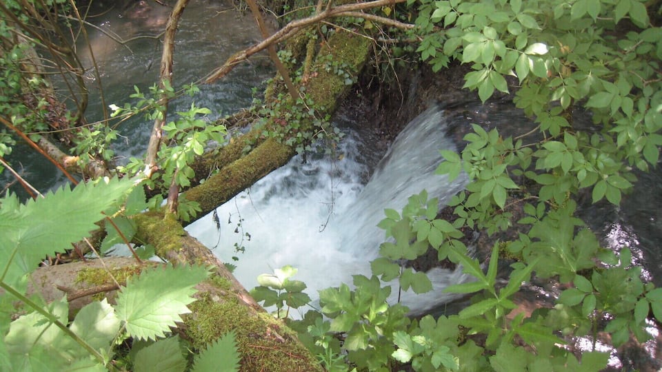 A small waterfall surrounded by lush greenery and moss-covered rocks.