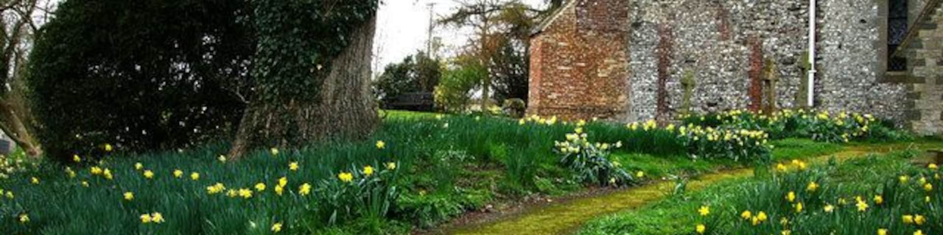 St Mary's churchyard, Bepton
